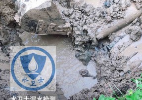 金坛区水管漏水检测公司5